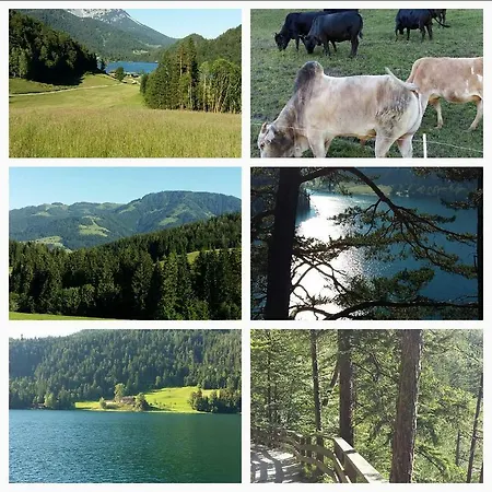 Gasthof Kaiserblick Bed and breakfast Itter